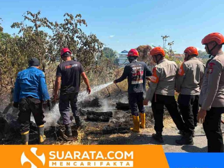 Cegah Api Meluas, Tim SAR Batalyon B Pelopor Padamkan Kebakaran Lahan di Bukit Harapan