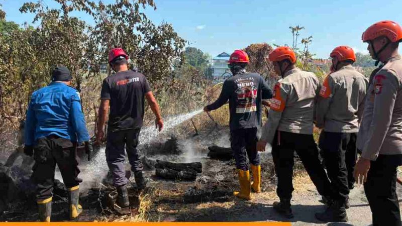 Cegah Api Meluas, Tim SAR Batalyon B Pelopor Padamkan Kebakaran Lahan di Bukit Harapan