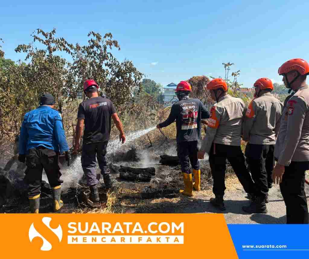 Cegah Api Meluas, Tim SAR Batalyon B Pelopor Padamkan Kebakaran Lahan di Bukit Harapan