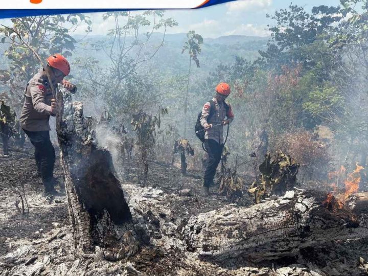 Kebakaran Lahan di Parepare, Tim SAR Batalyon B Pelopor Bergerak Cepat Padamkan Api