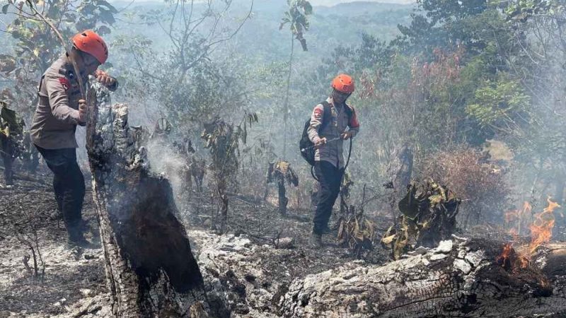Kebakaran Lahan di Parepare, Tim SAR Batalyon B Pelopor Bergerak Cepat Padamkan Api