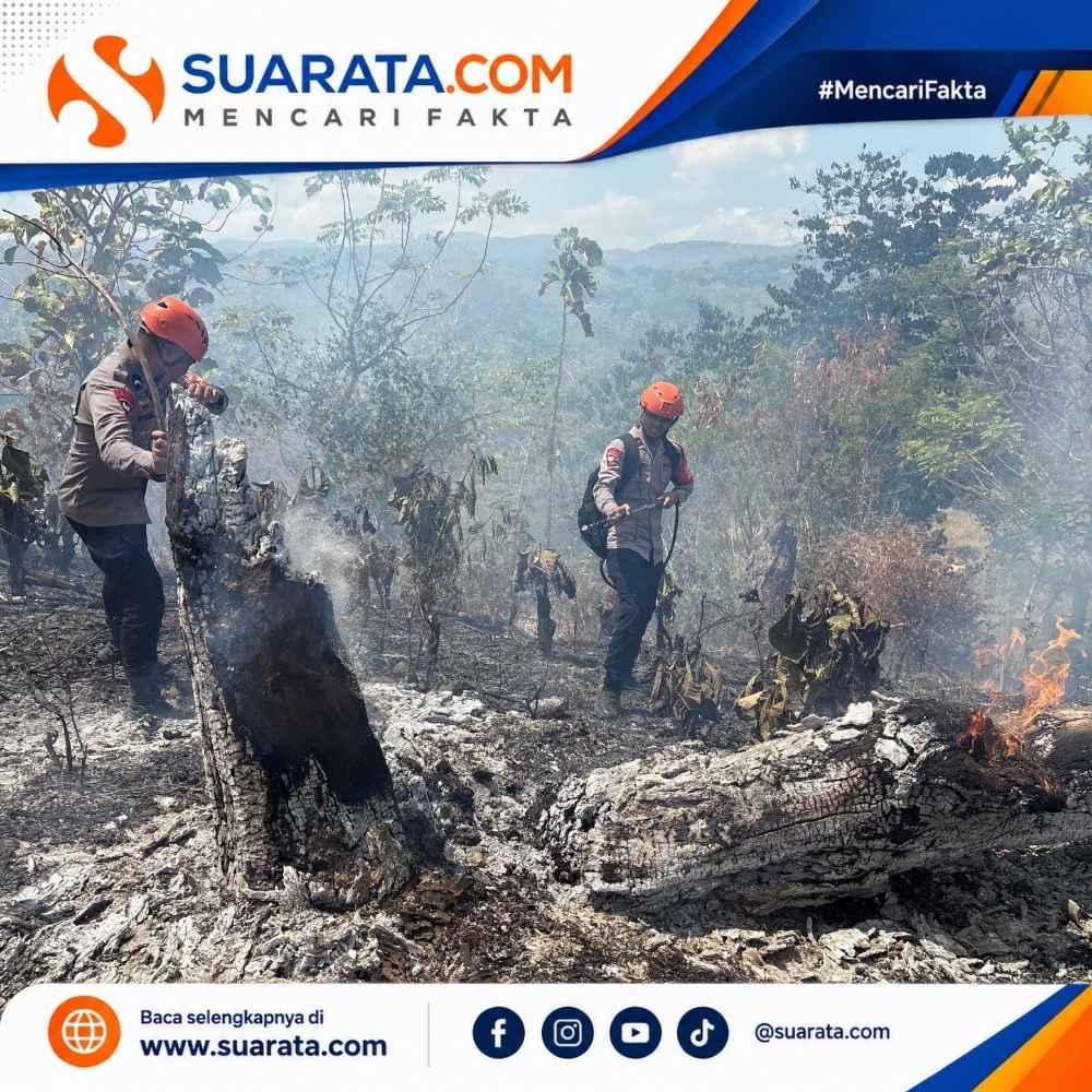 Kebakaran Lahan di Parepare, Tim SAR Batalyon B Pelopor Bergerak Cepat Padamkan Api