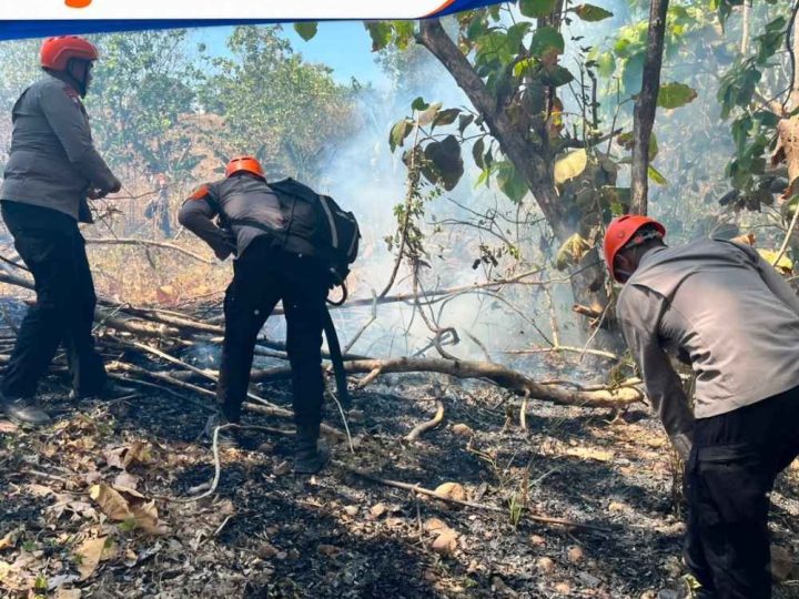 Tim SAR Batalyon B Padamkan Karhutla di Kelapa Gading Parepare