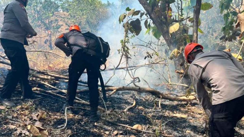Tim SAR Batalyon B Padamkan Karhutla di Kelapa Gading Parepare