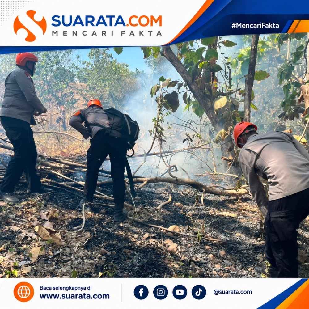 Tim SAR Batalyon B Padamkan Karhutla di Kelapa Gading Parepare