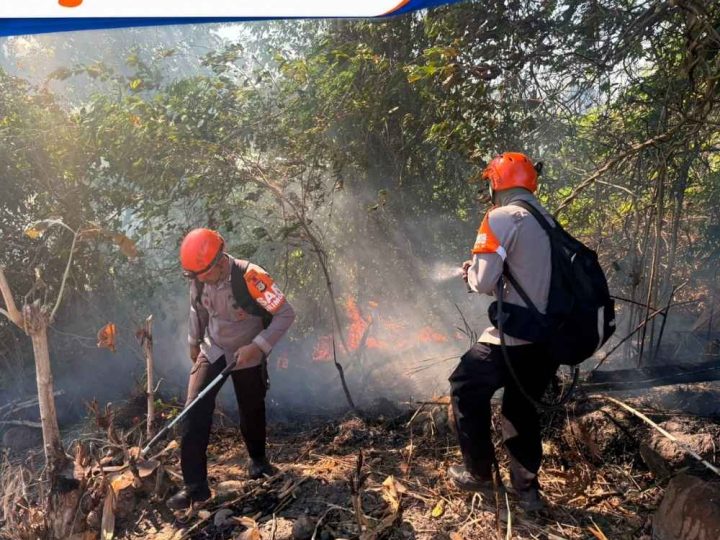 Kebakaran Lahan di Parepare, Tim SAR Batalyon B Pelopor Berjibaku Jinakkan Si Jago Merah