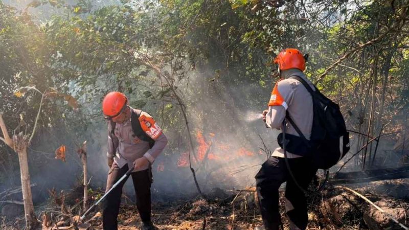 Kebakaran Lahan di Parepare, Tim SAR Batalyon B Pelopor Berjibaku Jinakkan Si Jago Merah