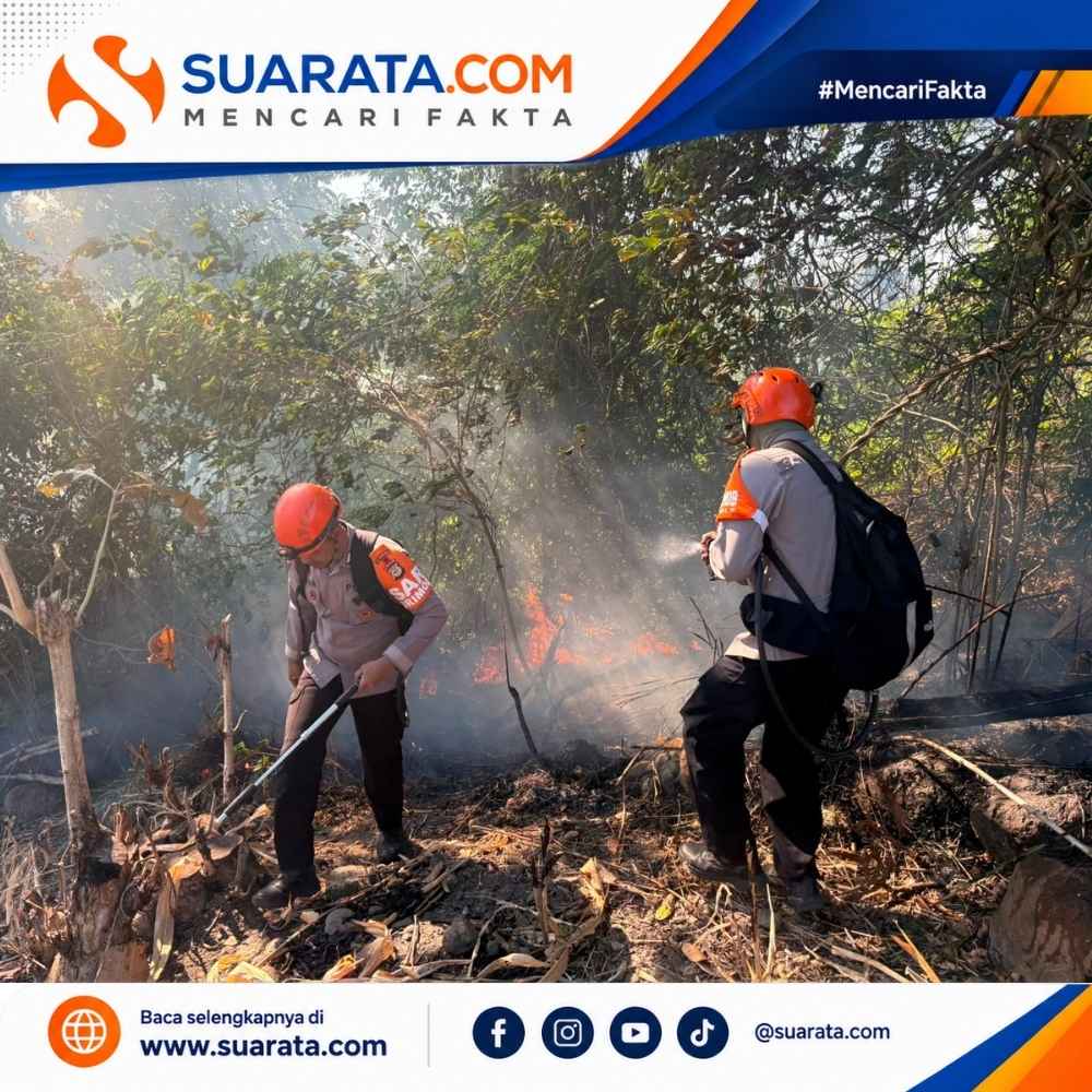 Kebakaran Lahan di Parepare, Tim SAR Batalyon B Pelopor Berjibaku Jinakkan Si Jago Merah