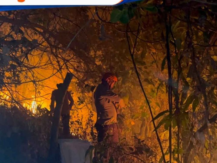 Kebakaran Lahan di Bacukiki Parepare, Tim SAR Brimob Turun Tangan