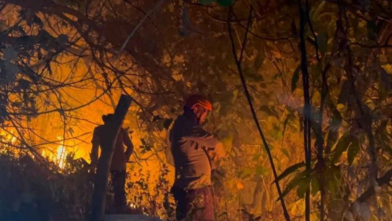 Kebakaran Lahan di Bacukiki Parepare, Tim SAR Brimob Turun Tangan
