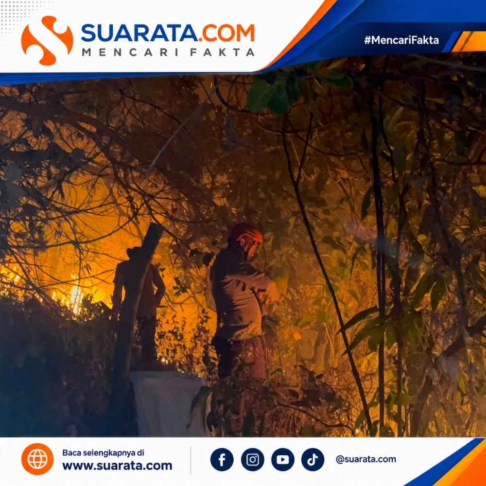 Kebakaran Lahan di Bacukiki Parepare, Tim SAR Brimob Turun Tangan