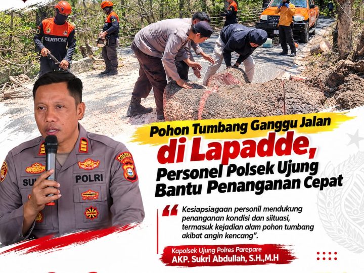 Pohon Tumbang Ganggu Jalan di Lapadde, Personel Polsek Ujung Bantu Penanganan Cepat
