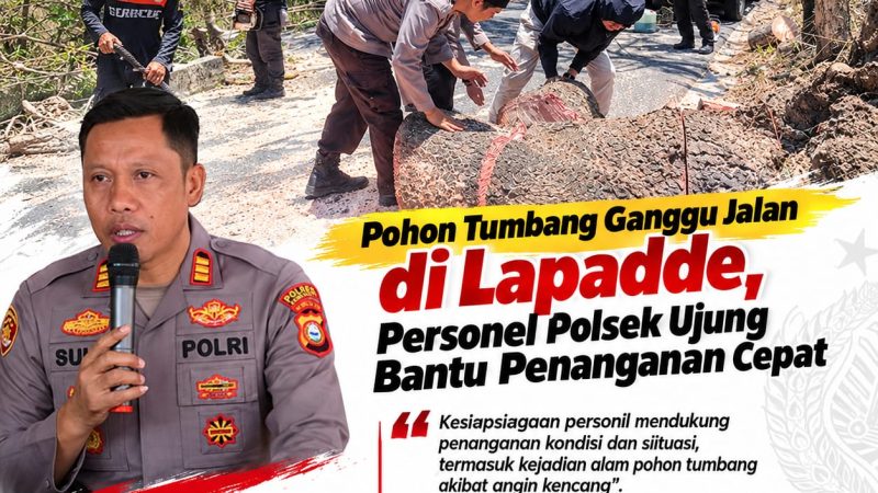 Pohon Tumbang Ganggu Jalan di Lapadde, Personel Polsek Ujung Bantu Penanganan Cepat