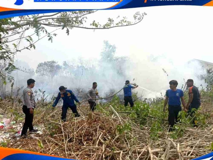 Polres Majene Bersama Damkar dan Warga Padamkan Kebakaran Lahan di Leppe, Api Berhasil Dikendalikan
