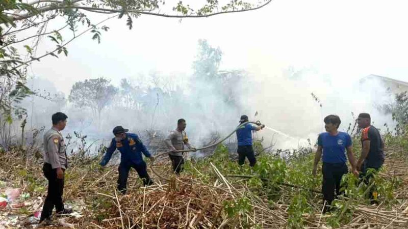 Polres Majene Bersama Damkar dan Warga Padamkan Kebakaran Lahan di Leppe, Api Berhasil Dikendalikan